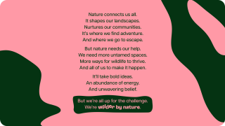 Derbyshire Wildlife Trust brand manifesto