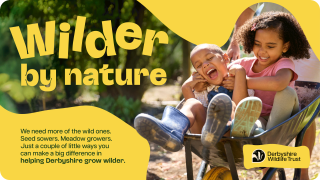 Derbyshire Wildlife Trust kids in a wheelbarrow